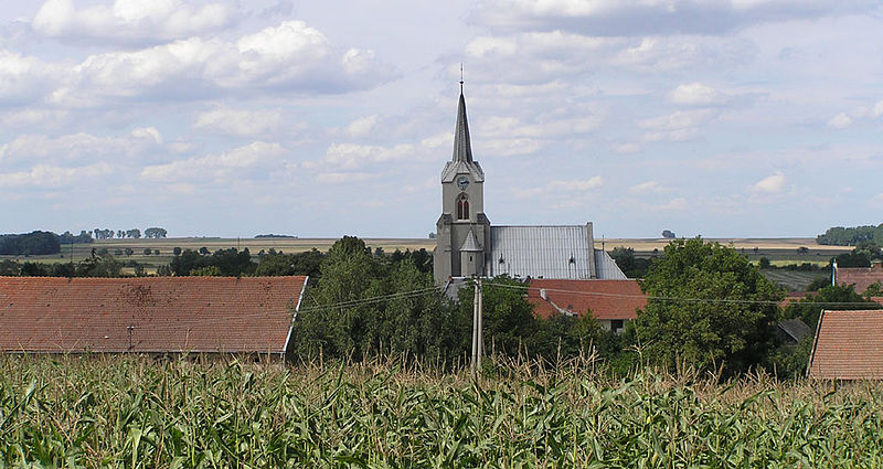 Vyklízení Křenovice